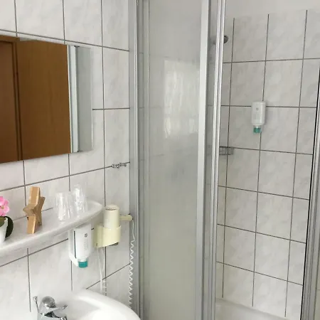 Отель Waldgasthof & Alberthoehe *