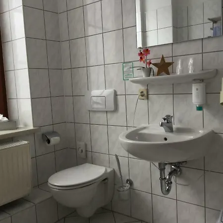 Отель Waldgasthof & Alberthoehe *