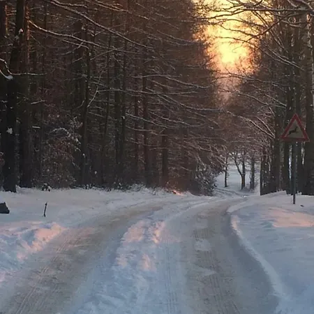 Waldgasthof & Alberthoehe Отель *