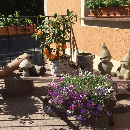 Waldgasthof & Alberthoehe فندق