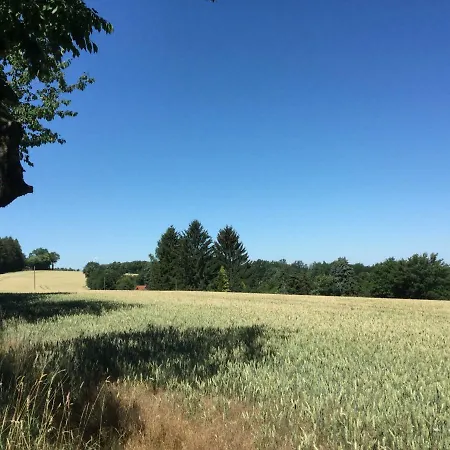 فندق Waldgasthof & Alberthoehe