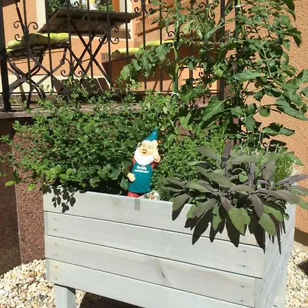 Отель Waldgasthof & Alberthoehe Лихтенштайн